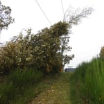 Sturmschaden an der Bergstation