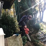 Arbeiten am Grünstreifen im Eingangsbereich