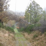 Sturmschaden in der Lifttrasse