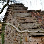 Llábanas en el tejado