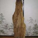 筑波東山講中　奉納　（椿の古木の皮に文字が彫ってあります）