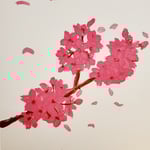 1841「儚く舞い散る桜の花は愛おしい」作者：松川永遠