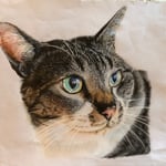 715：福さん　〜お花好きなニャニーズ〜：UkoNyan