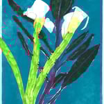 笠木大希 カラー