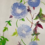 1868「朝顔」作者：澄