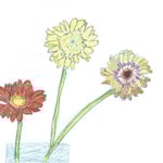 はるえ 秋の花三輪