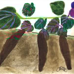 加藤京子 さつま芋