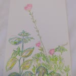 1406「笑顔」作者：tampopo-chie