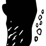 シマハイエナ マッコウクジラ