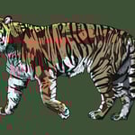 1449「ベンガルトラ」作者：YU