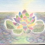 てくてく歩く どぶの中に咲く希望