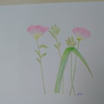 1395「ぴんく」作者：tampopo-chie