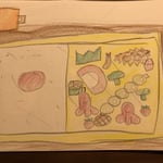 HOTA おべんとう