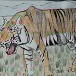 今岡凜太郎　トラ 