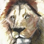 1215：ライオン：3210