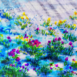 1429：hope：wasabi