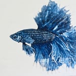 1685：星空の中で：吉崎莉菜