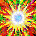 1806「ヒマワリボシ」作者：山下重人