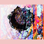 しょも わたしの可能性