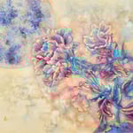 1716「日輪」作者：庫美原