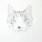 1944「キジトラ」作者：草地美波