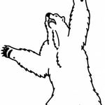 シマハイエナ ホッキョクグマ