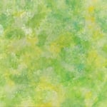 1592「やわらかな風」作者：もも