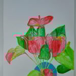 2040「アンスリウム」作者：和笑旬