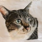 UkoNyan 福さん　〜お花好きなニャニーズ〜