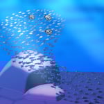 1616「イワシの大群」作者：よこぼう