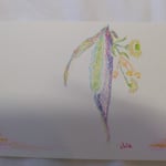 1400「夏の野原を摘んで。」作者：tampopo-chie