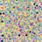 1600「風のあしあと」作者：もも