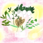 1652「春の七草」作者：加藤京子