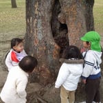 何があるかな～