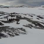 Bienvenue sur "into the Wild Strudel"!