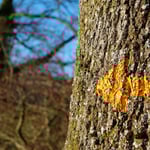 Ein Natur- und Wanderparadies