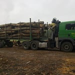 Transport de bois en collaboration avec l'entreprise André Pittet.