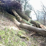 Assainissement après tempête.