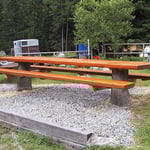 Table extérieure fixée sur les souches des arbres abattus sur place