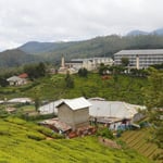 Teefabrik in Sri Lanka, Nuwara Eliya