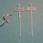 Marquilla con amarres TMA de marcacion manual