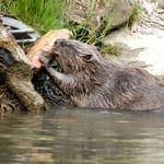 Cast63 Il tente de boucher la fuite d'eau