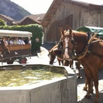 O d Rössli näme zwüschiche gärn eis...