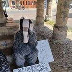 Sad Badger in Whitney