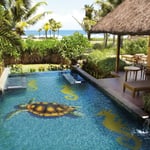 Mosaico decoro per piscina Tartaruga 1600x950mm