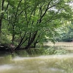 ため池とその奥の里山も子ども達の遊び場に！