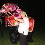 der Höhepunkt - Elefantentanz