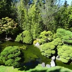 Le jardin japonais