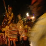 Le marié croisé dans la rue, sur son cheval blanc