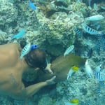 Un polynesien en train d'attraper une grosse murene